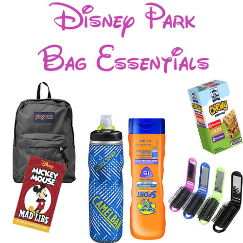 The Disney Park Bag: What to Bring and Why You Need One